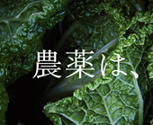 エヴァダイング