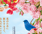 ハウステンボス 花の王国