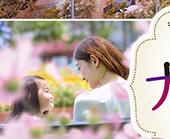 ハウステンボス 花の街の大収穫祭