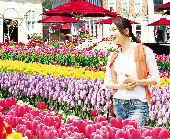 ハウステンボス チューリップ祭と光の王国