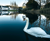 ハウステンボス 通年ポスター